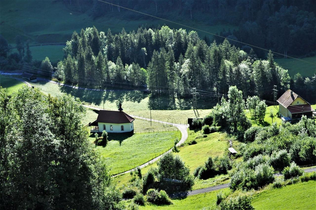 Ferienwohnung Ob Vierwaldsaettersee Isenthal Exterior photo